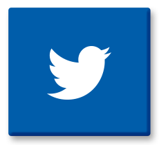 Twitter / X